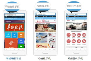 全力推进移动互联网示范工程，手机域名普及活动正式启动