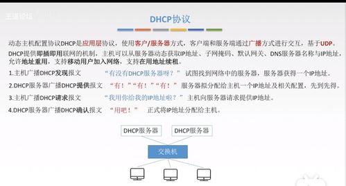 计算机网络应用层核心概念 从CS/P2P模型到Web与域名服务